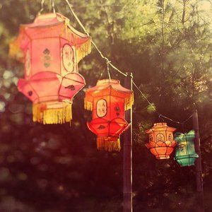 Meet your Posher, Caroline